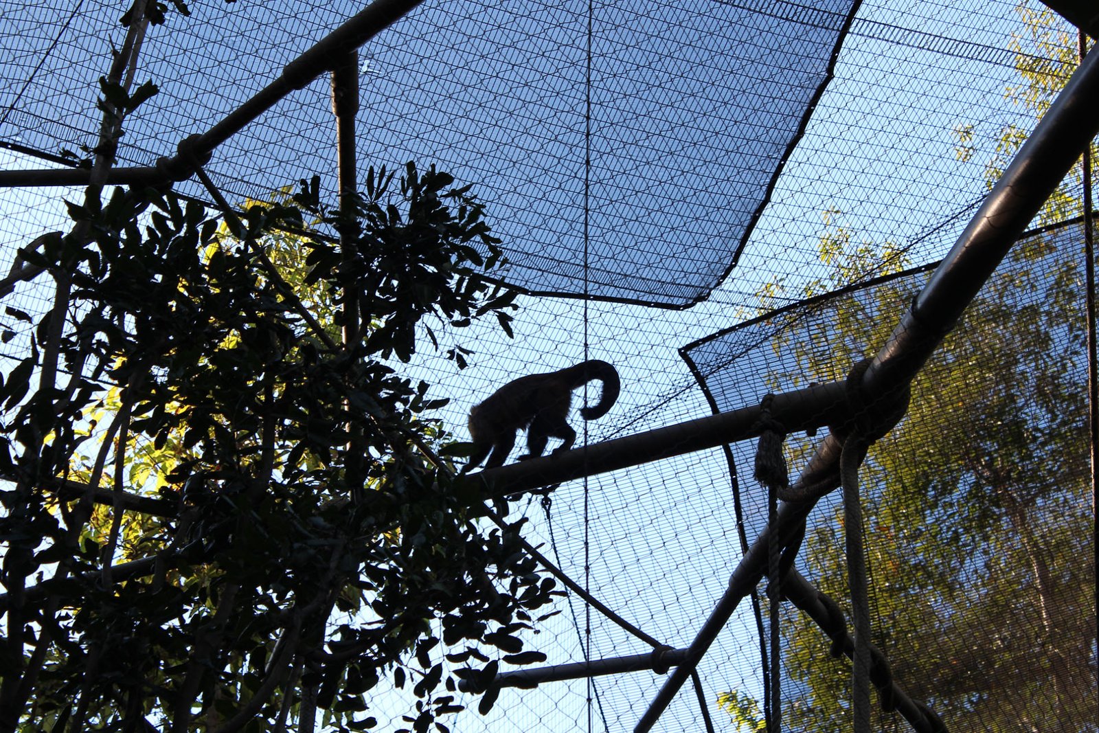 San Diego Zoo Part II 132